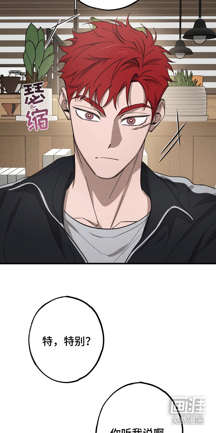 第9章：路边的石头