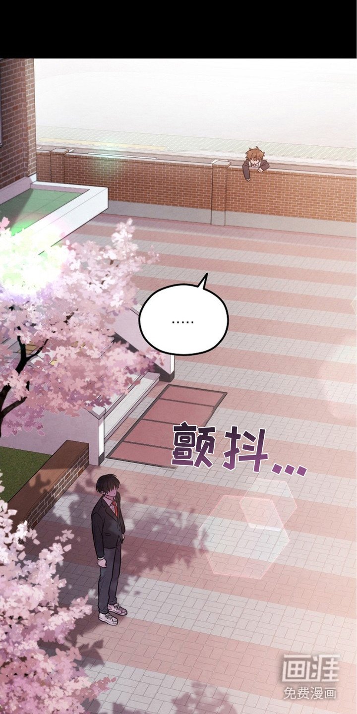 第13章：对视