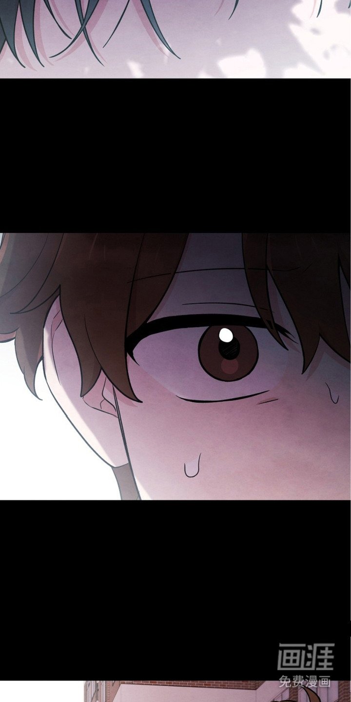 第13章：对视