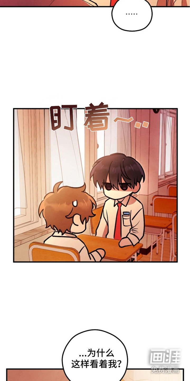 第15章：安慰
