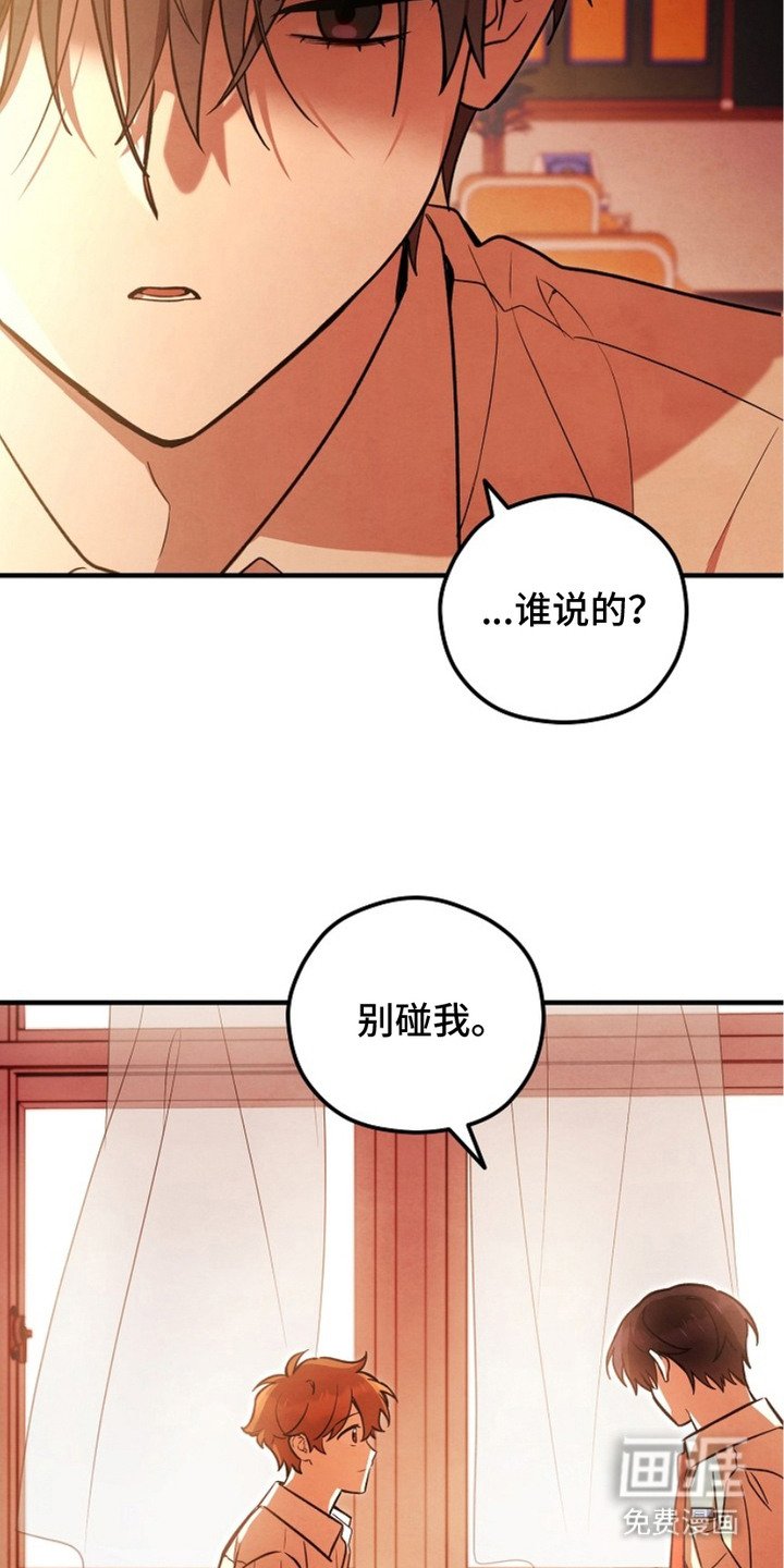 第16章：跟回家