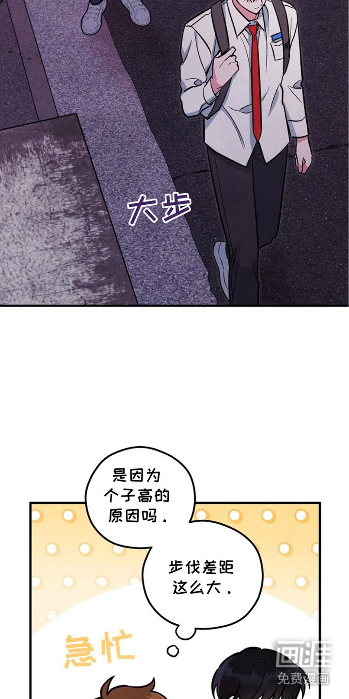 第16章：跟回家