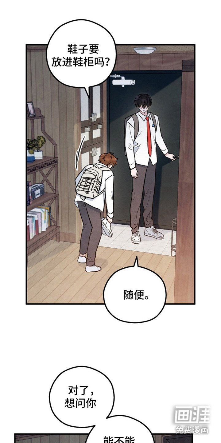 第18章：照片