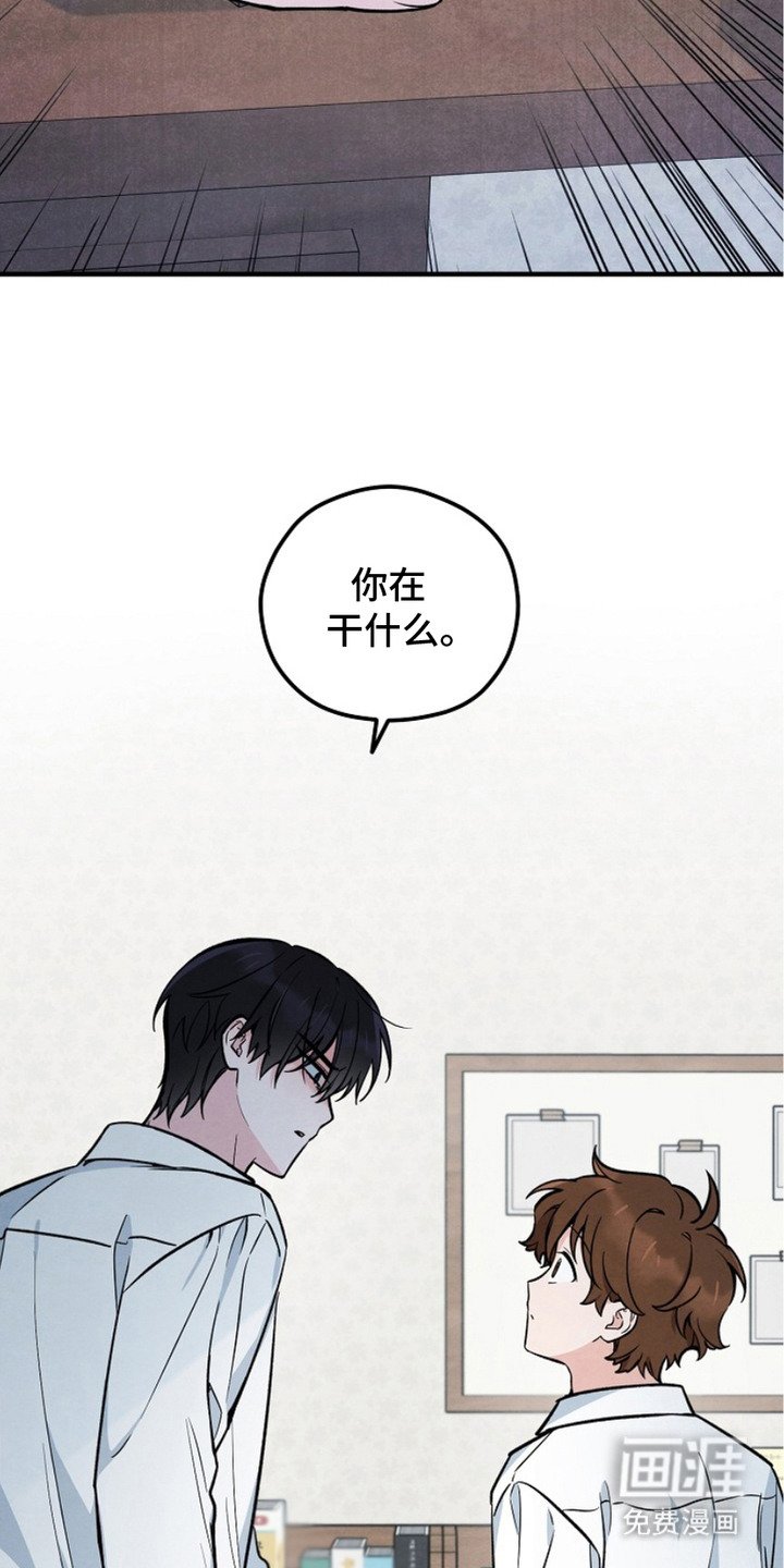 第18章：照片