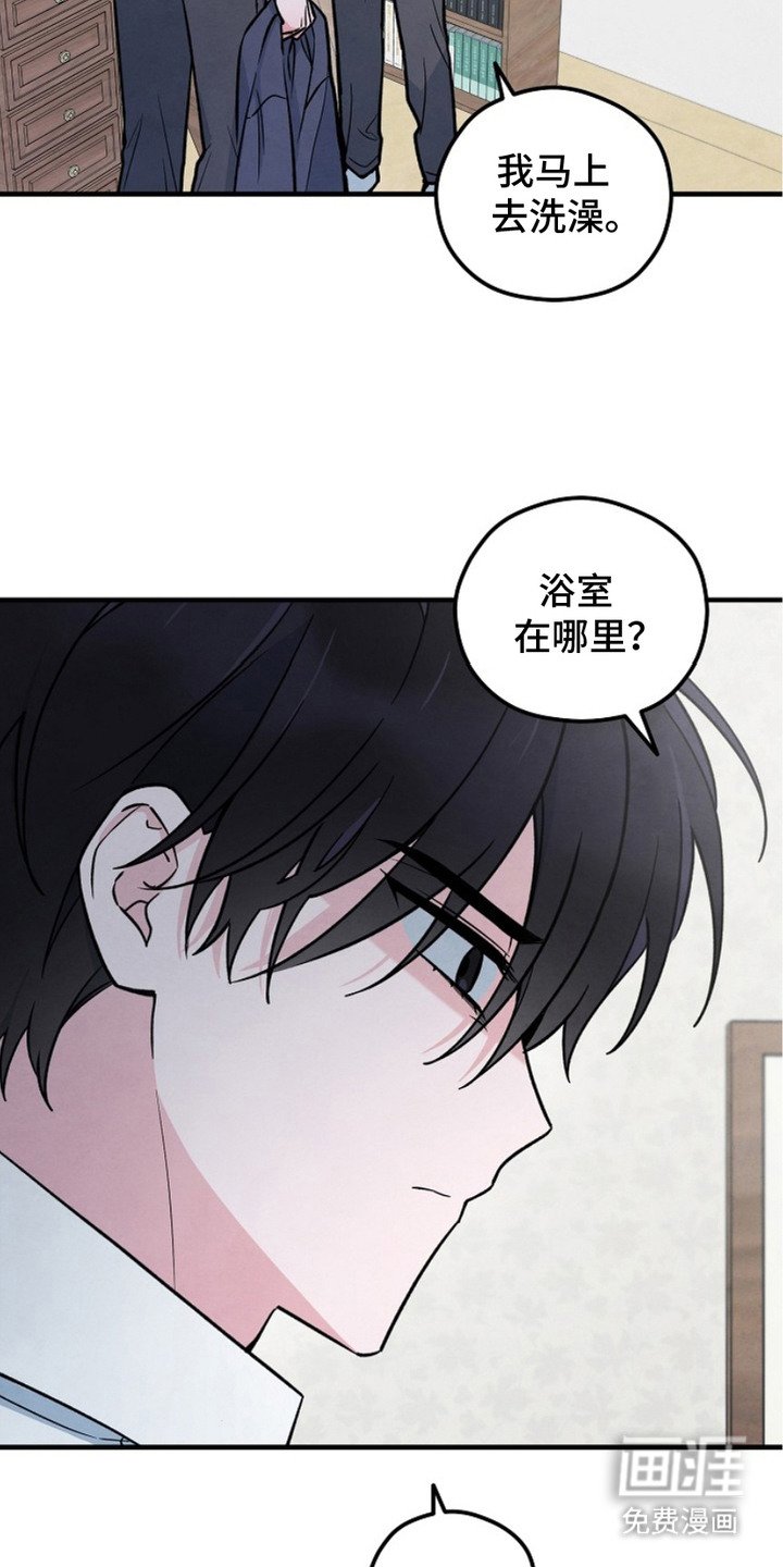 第18章：照片