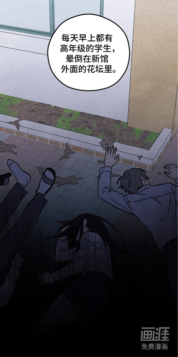 第2章：花坛