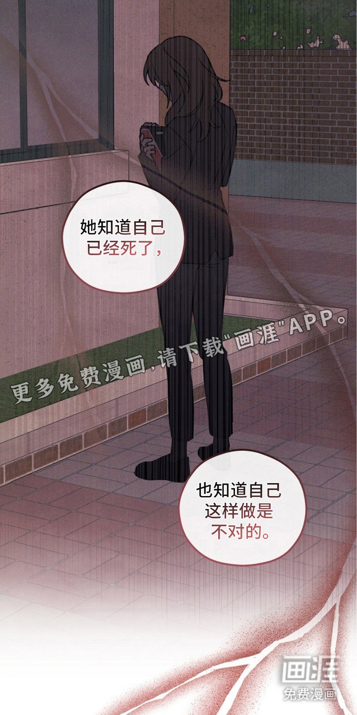 第2章：花坛