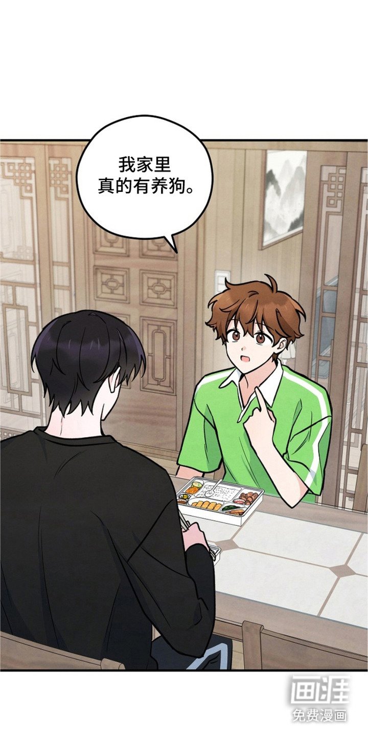 第20章：盯着看