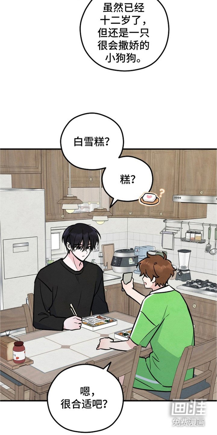 第20章：盯着看