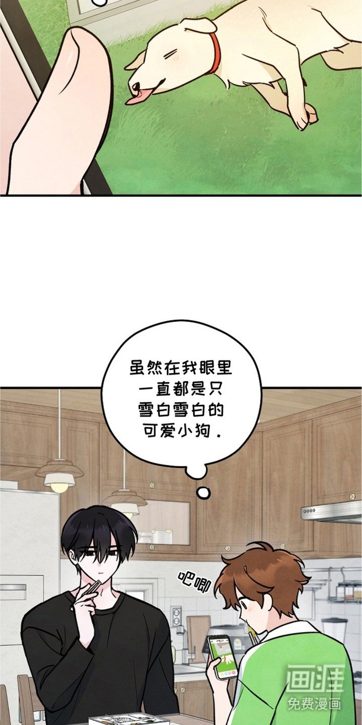 第20章：盯着看