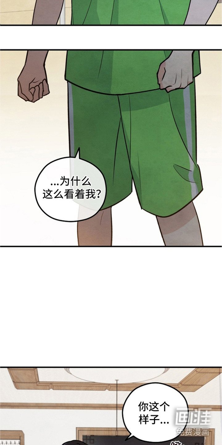 第20章：盯着看