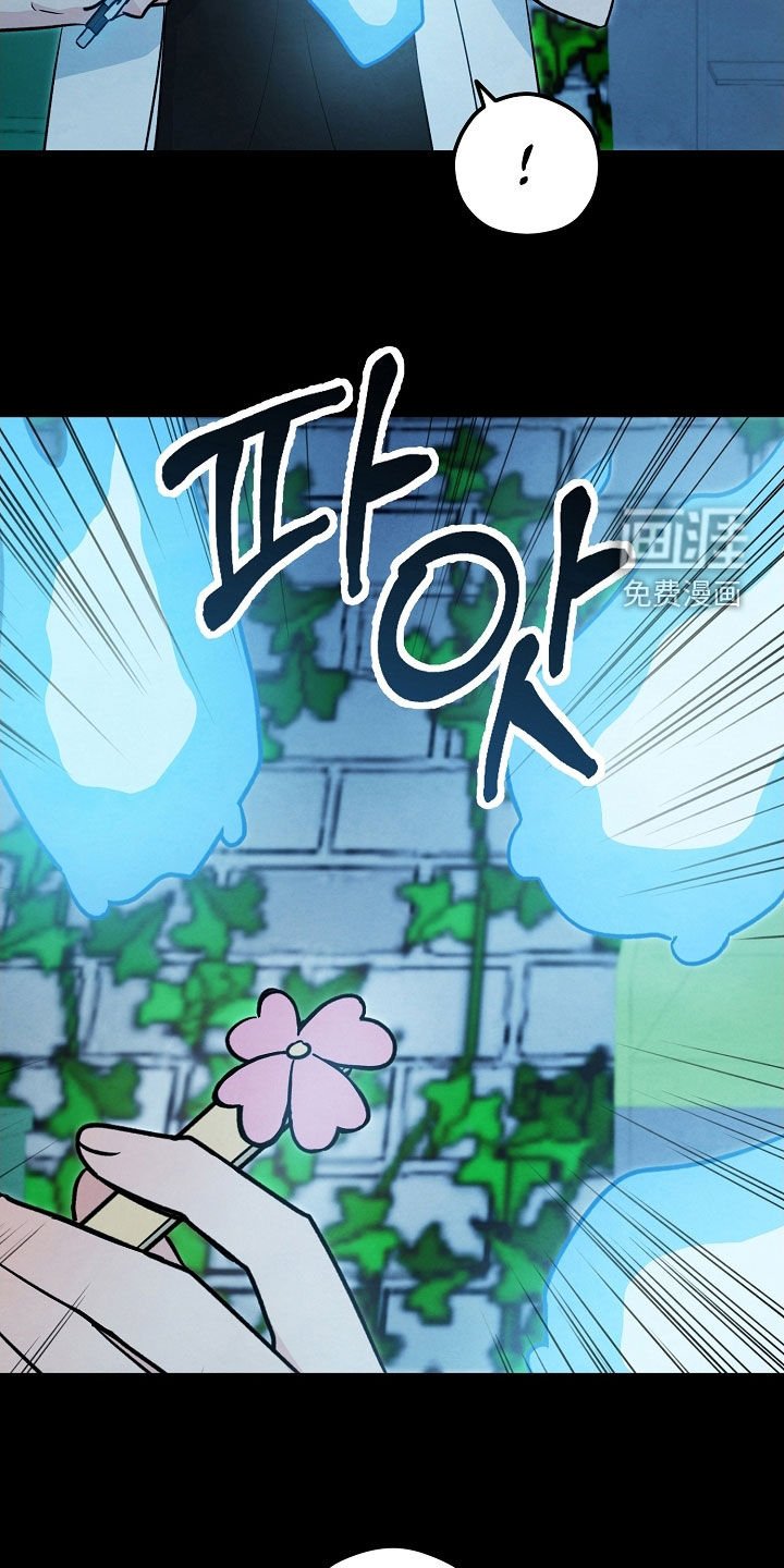 第29章：镜子