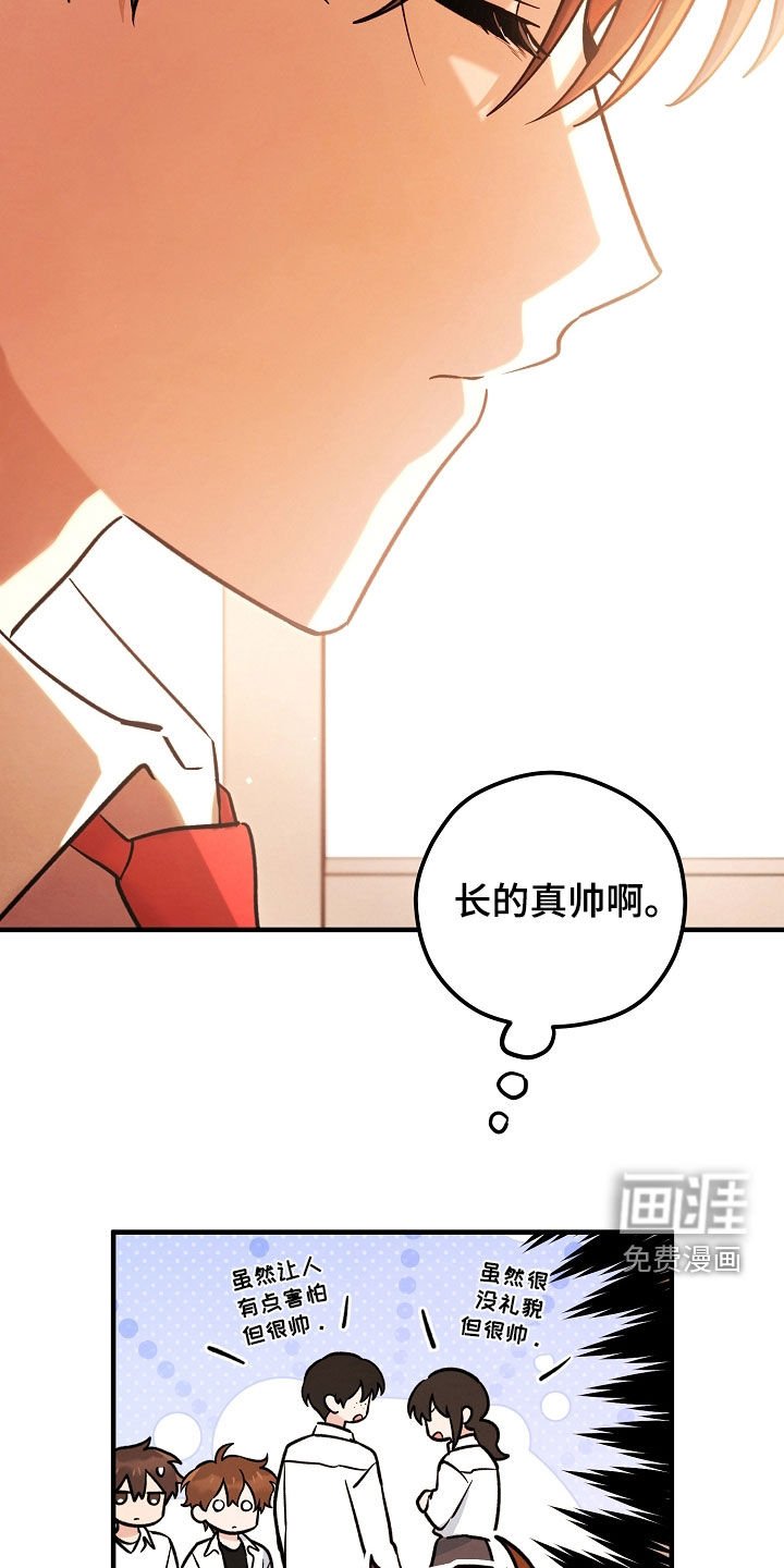 第31章：到此为止