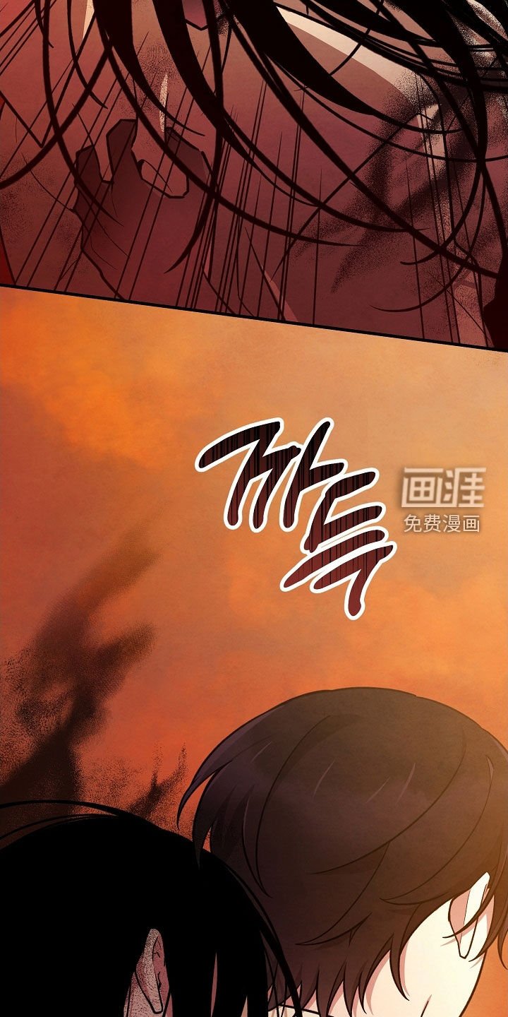 第46章：没有这个打算