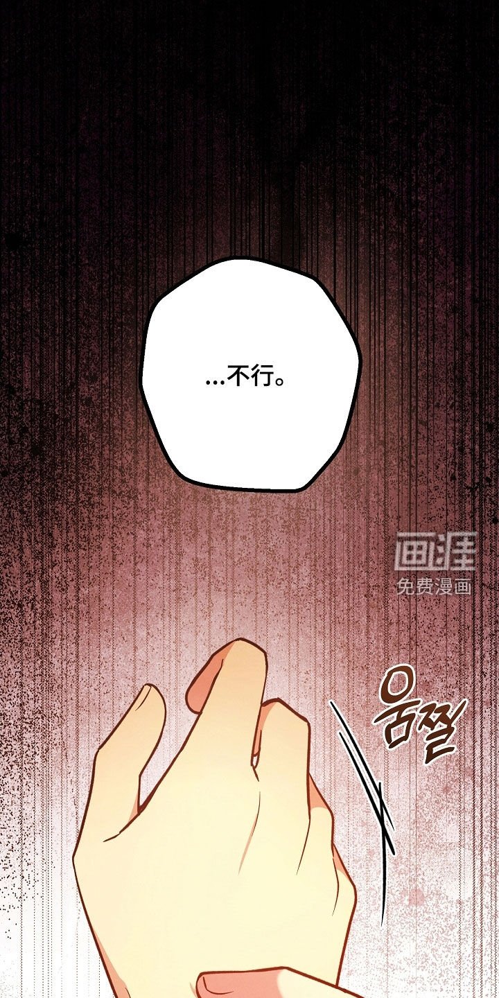 第46章：没有这个打算