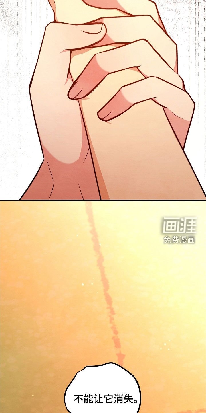 第46章：没有这个打算