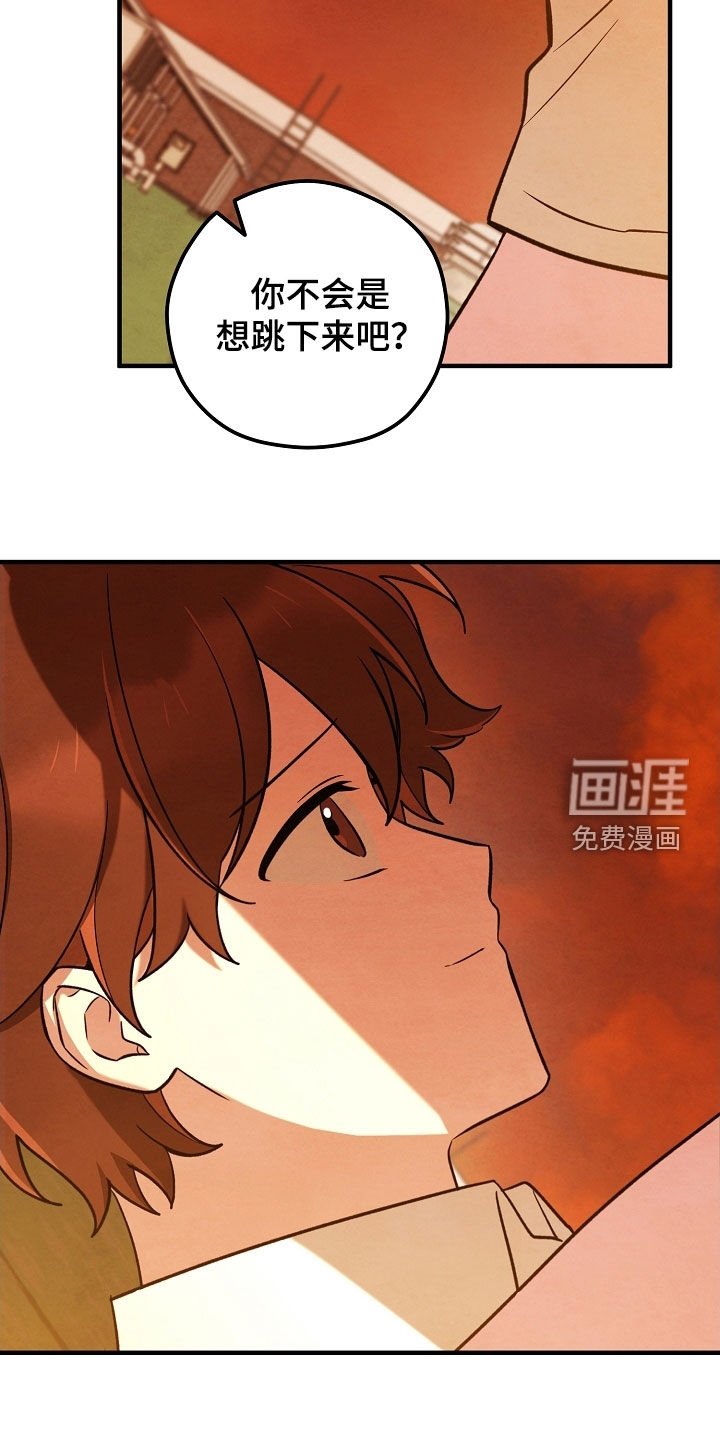 第46章：没有这个打算