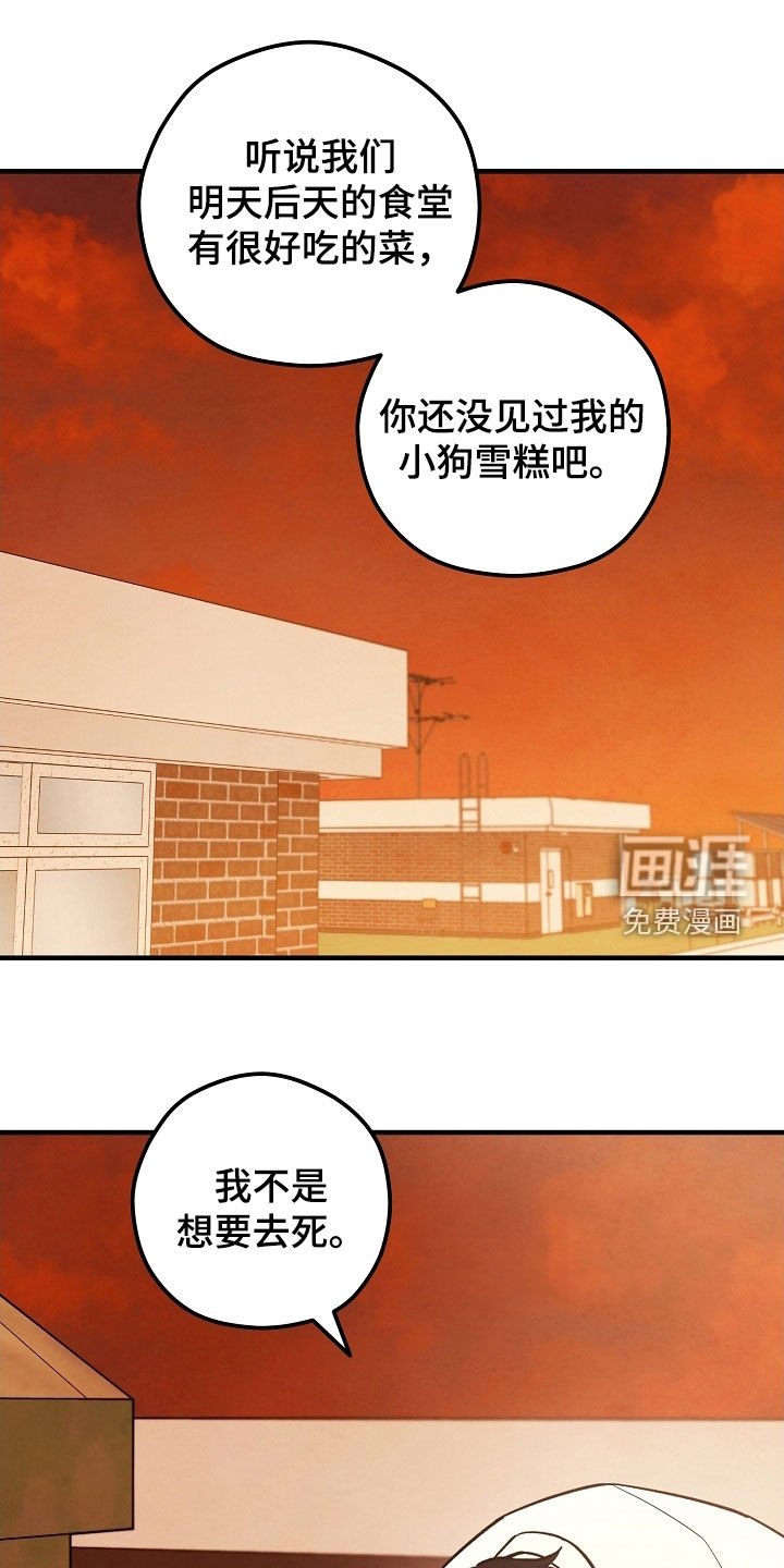 第46章：没有这个打算