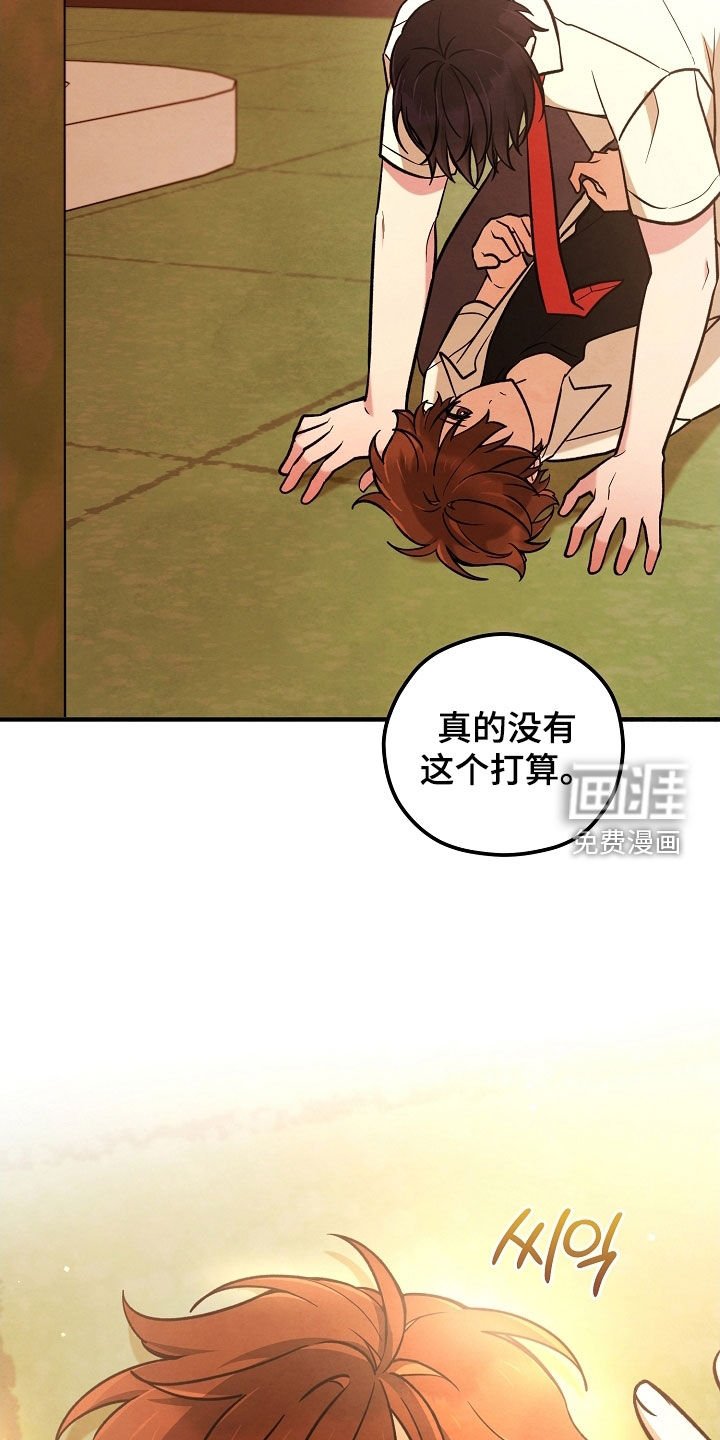第46章：没有这个打算