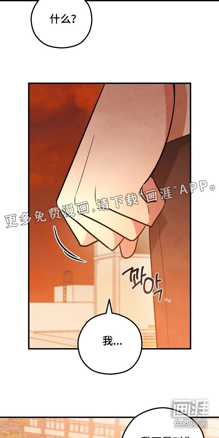 第47章：我什么都没做