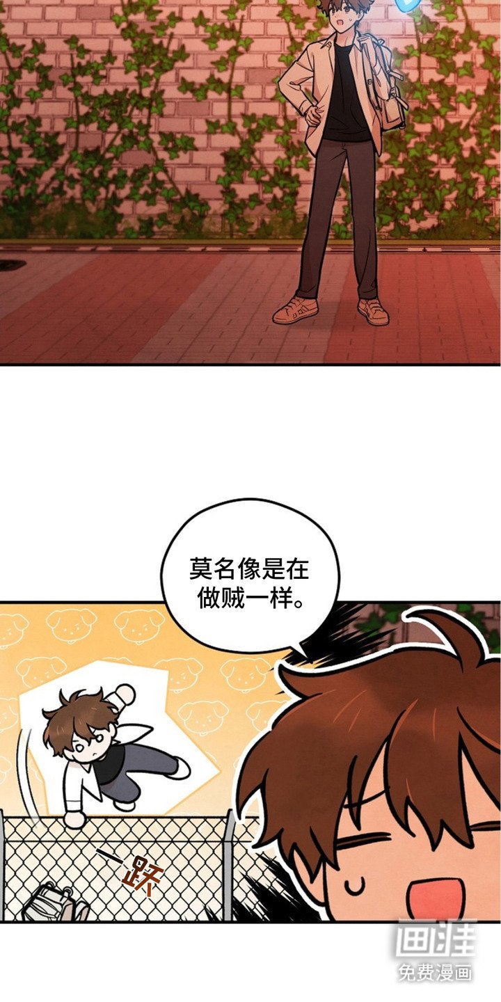 第5章：图书馆