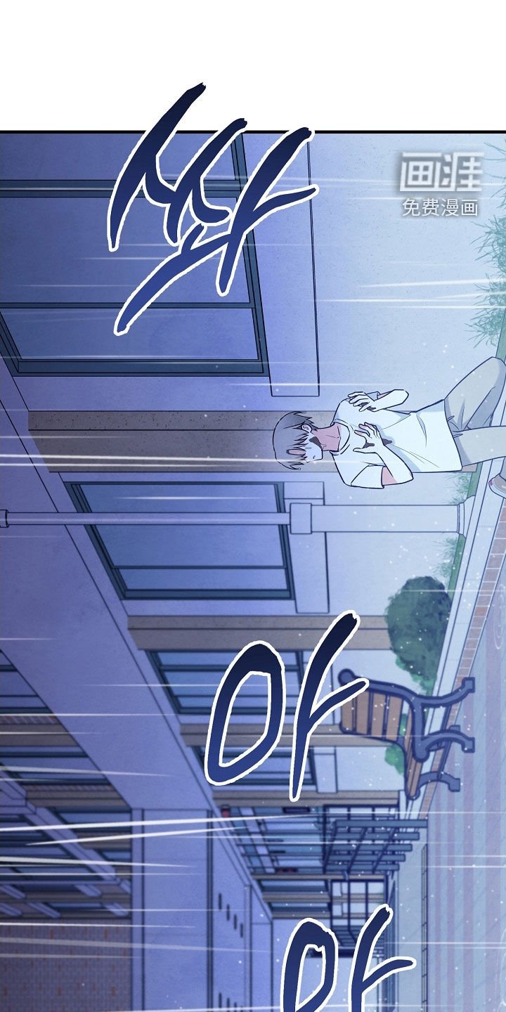 第62章：初恋的故事