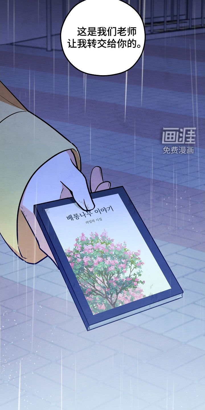 第62章：初恋的故事