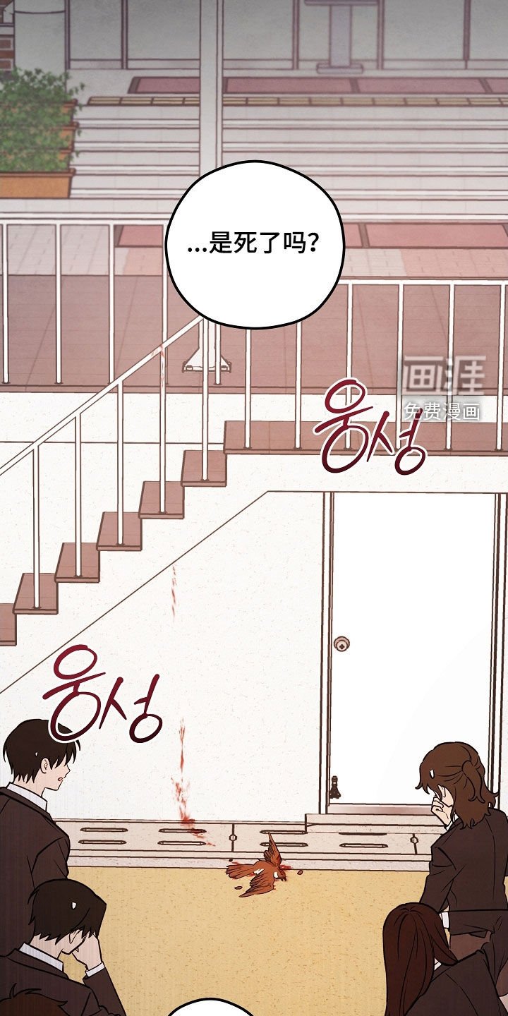 第66章：捉摸不透的人