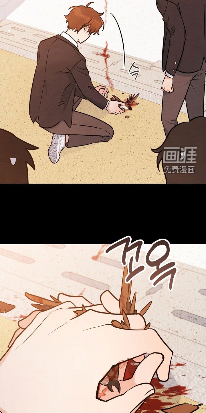 第66章：捉摸不透的人