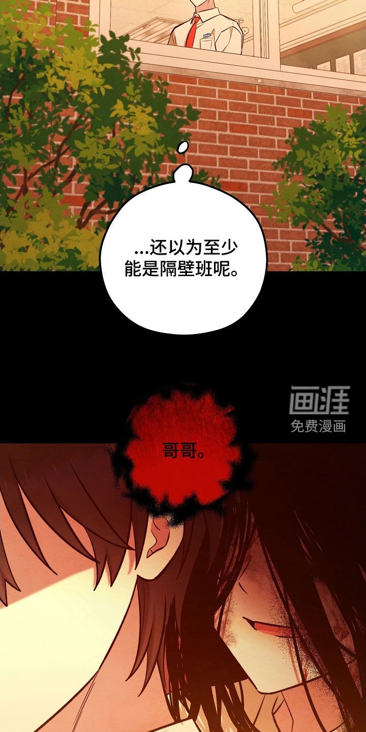 第67章：一缕阳光