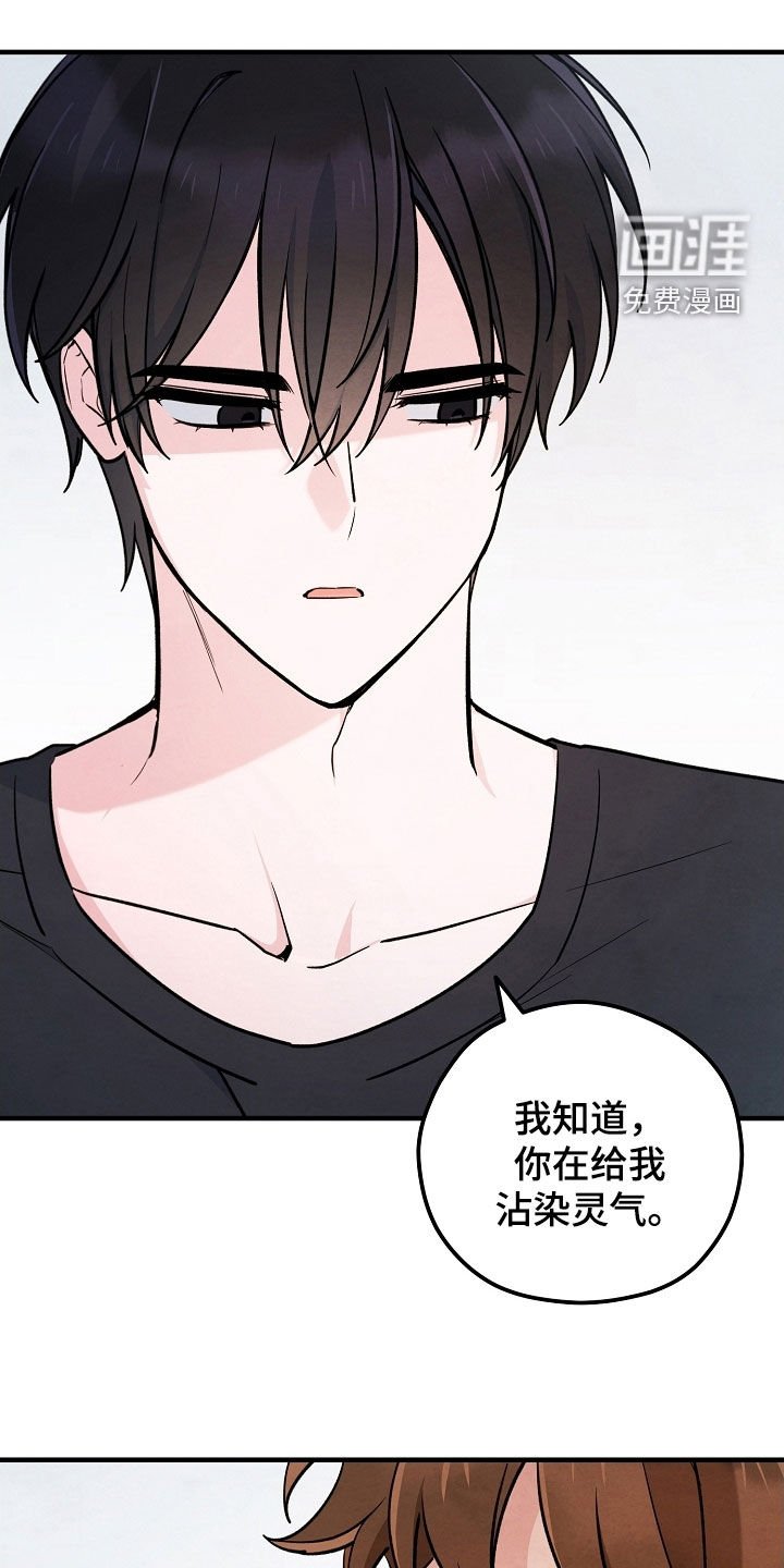 第72章：灵气掩盖