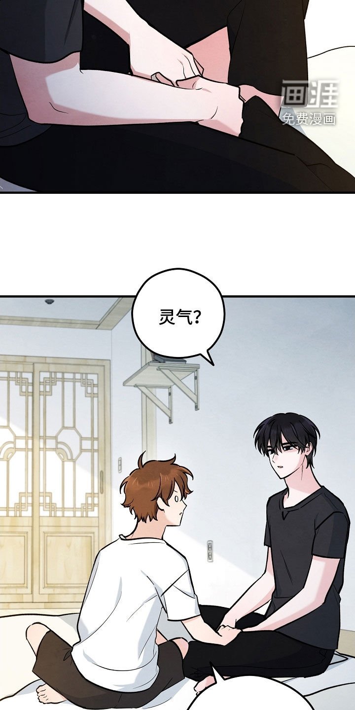 第72章：灵气掩盖