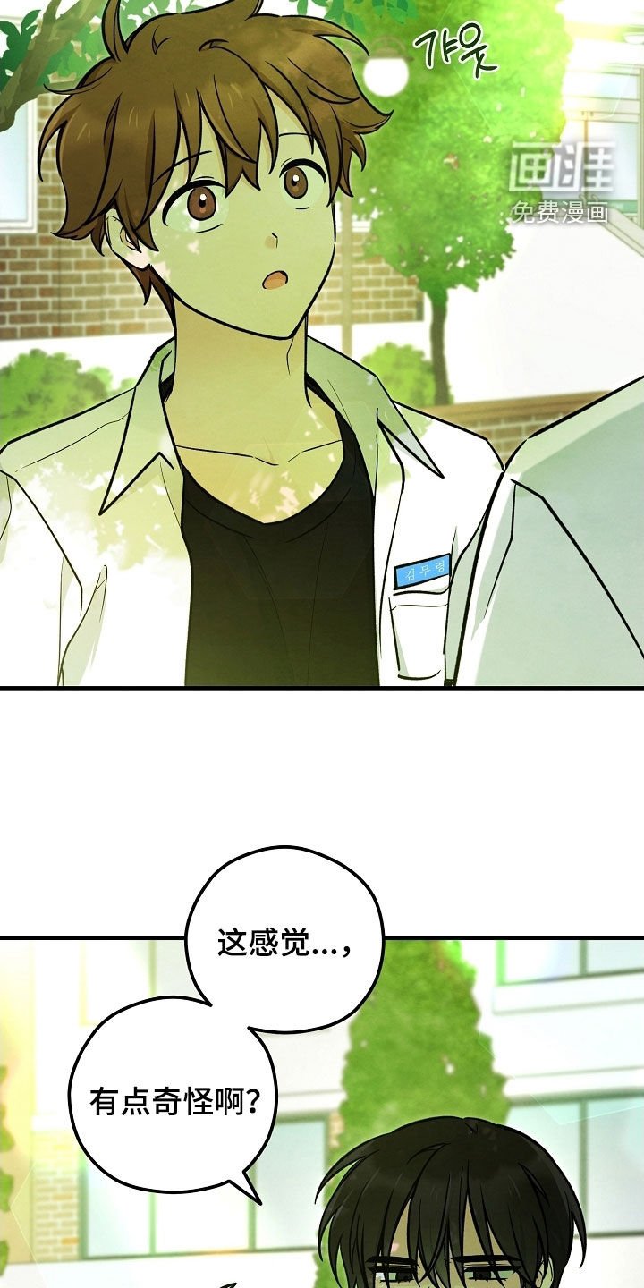 第72章：灵气掩盖