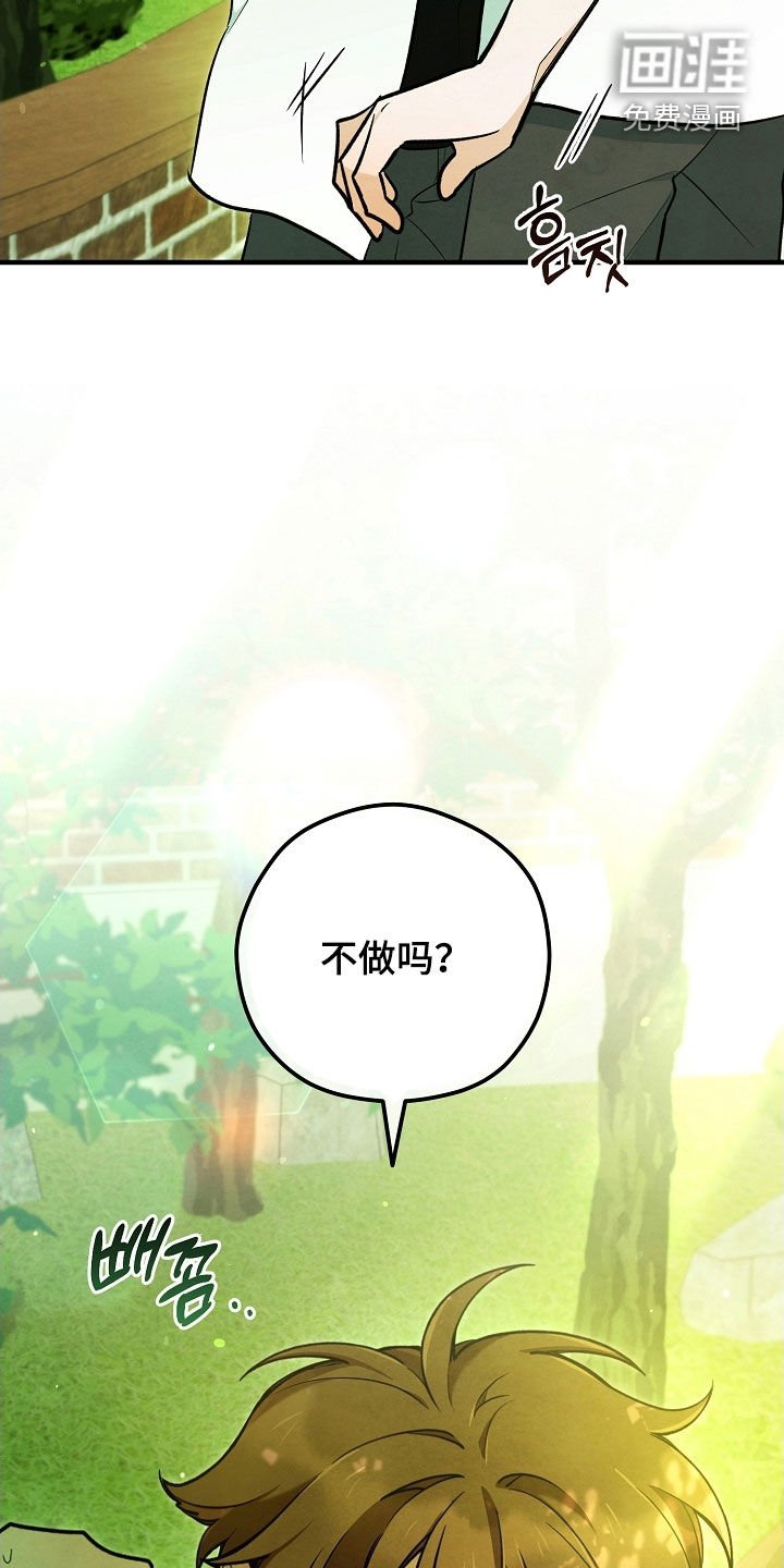 第72章：灵气掩盖