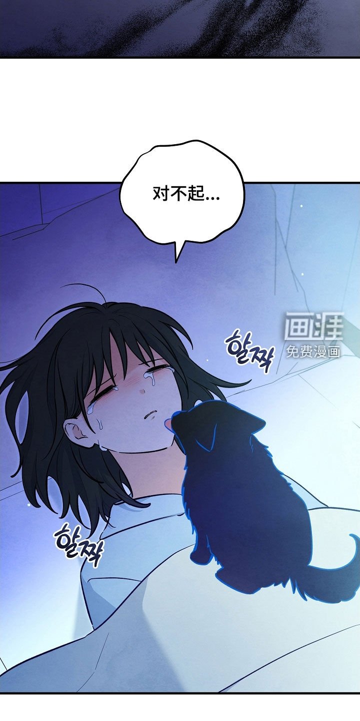 第77章：生命短暂