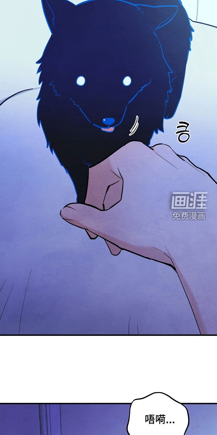 第77章：生命短暂