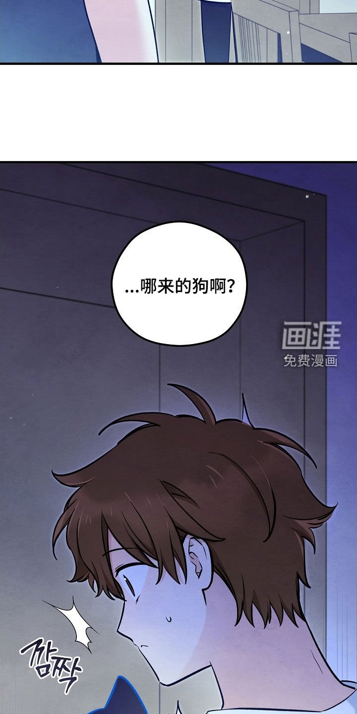 第77章：生命短暂
