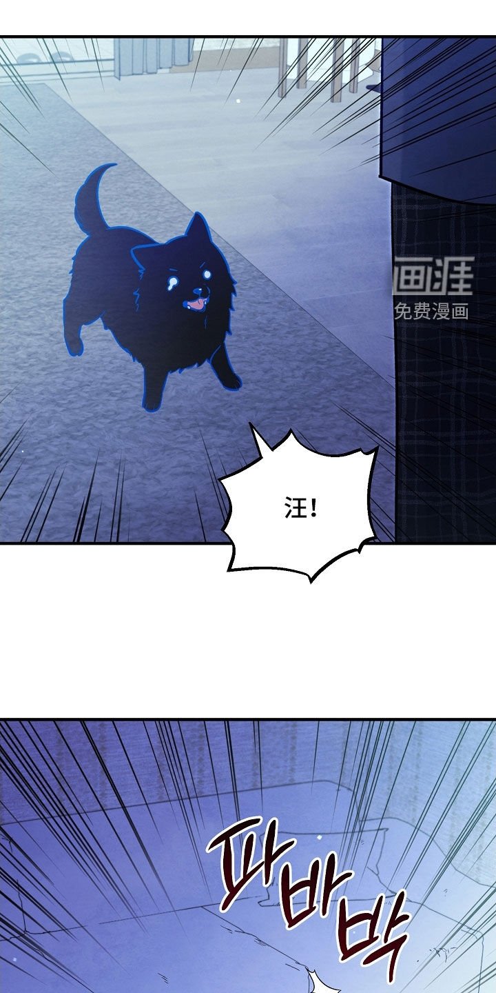 第77章：生命短暂