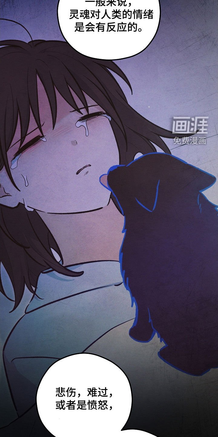 第77章：生命短暂