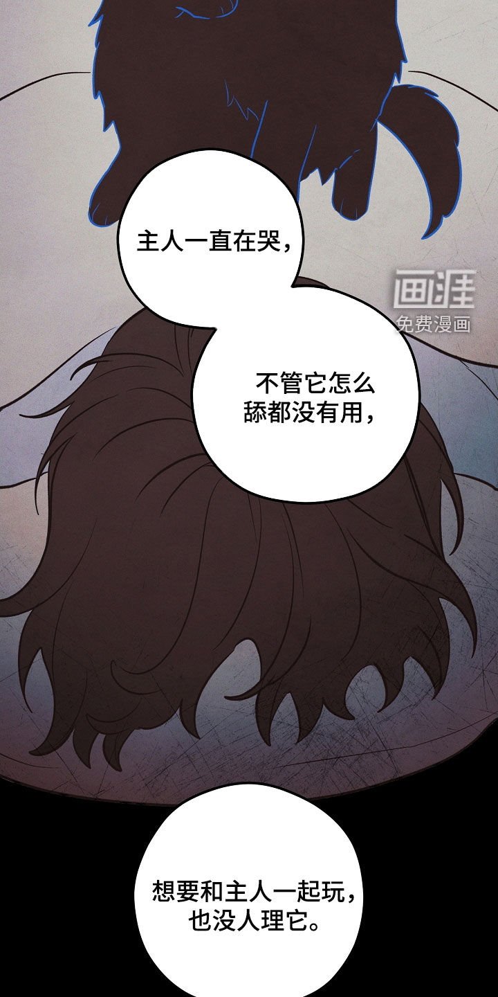 第77章：生命短暂