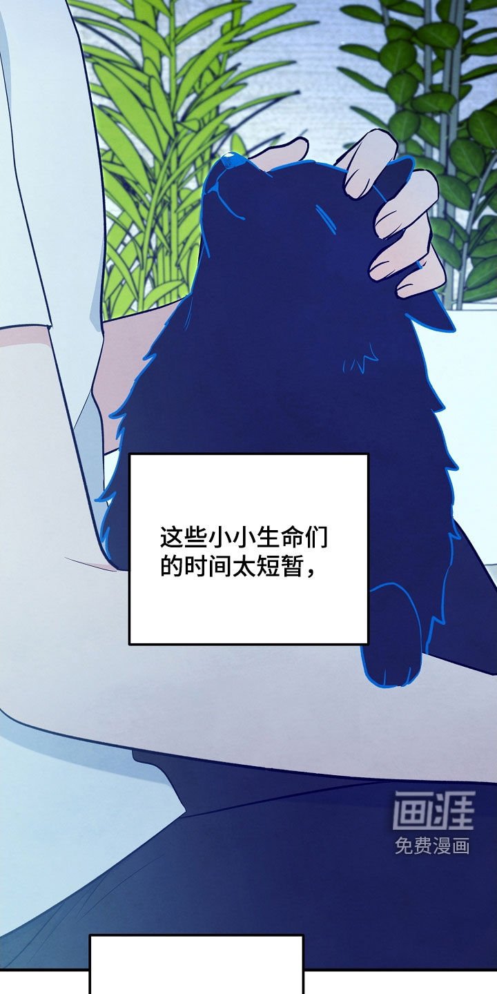 第77章：生命短暂