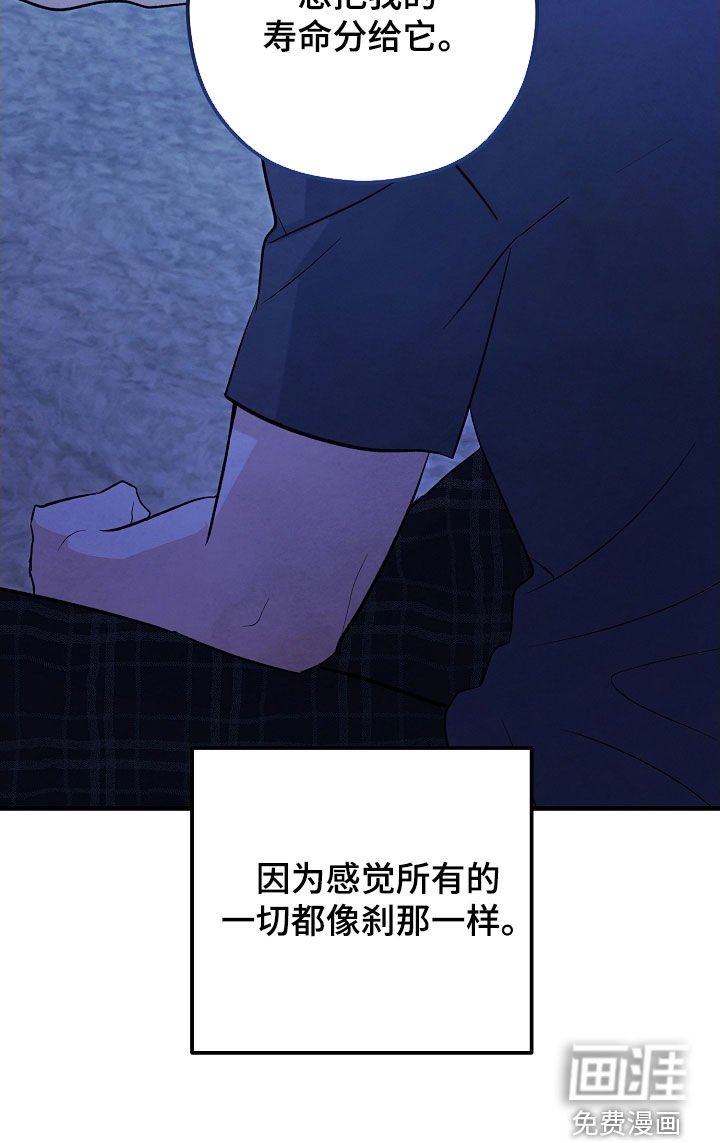 第77章：生命短暂