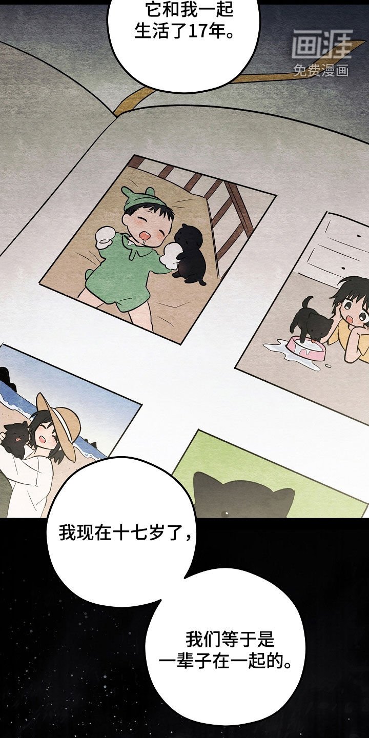第79章：悲伤