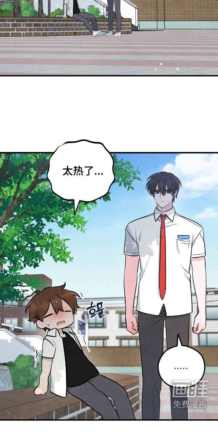 第81章：不如一起去