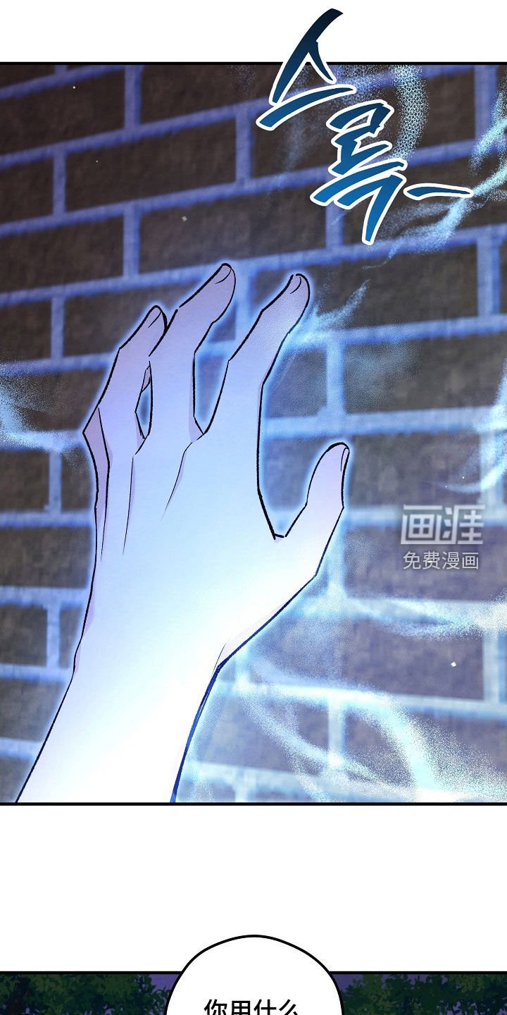 第82章：布置陷阱