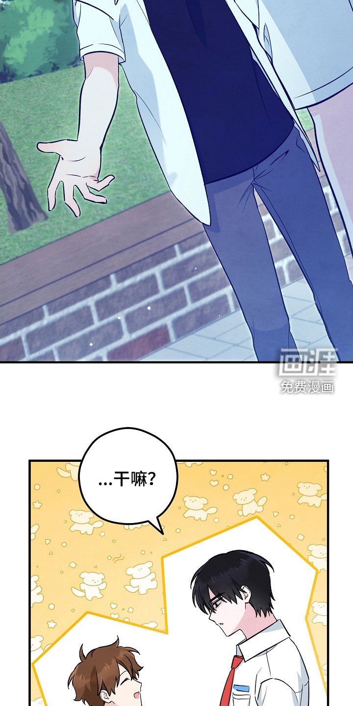 第82章：布置陷阱