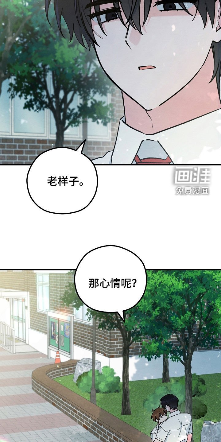 第84章：不上大学了