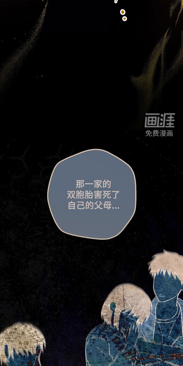 第90章：双胞胎兄妹