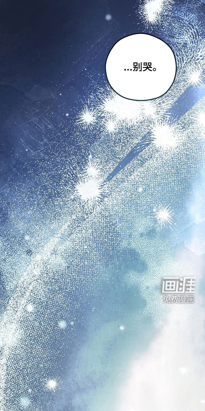 第93章：泪流满面（第一季完结）