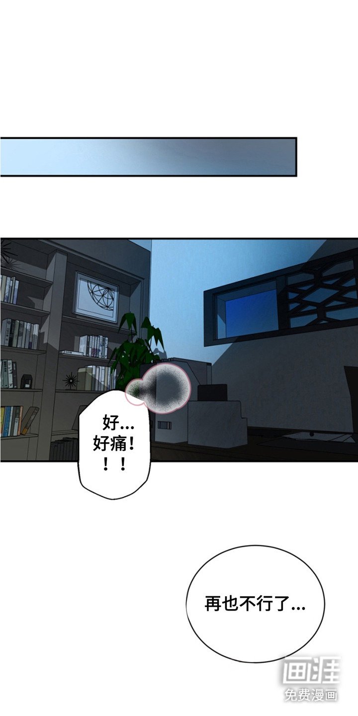 第12章：主导权